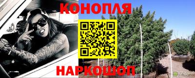 крисы Пыть-Ях