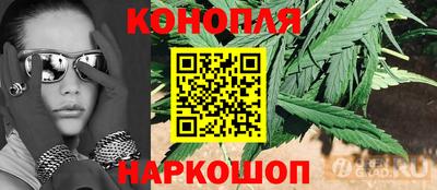 шишки Пушкино