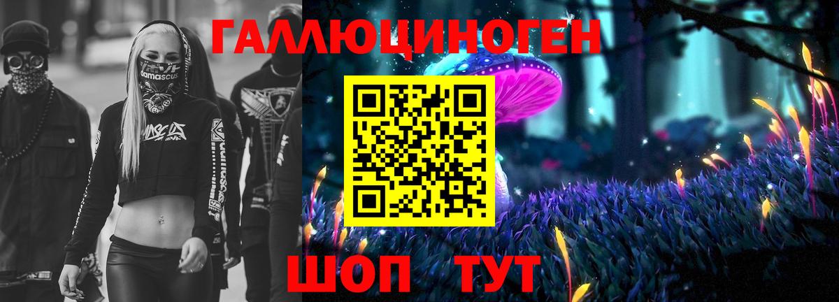 Галлюциногенные грибы Magic Shrooms  Псилоцибиновые грибы прущие грибы  Пенза  Вход с VPN 